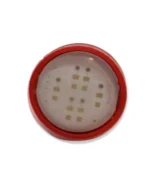 Світлодіодна лампа T4W BA9S COB Червоний 12V - Зображення 4